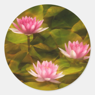 Artistic water lilies, California Classic Round Sticker