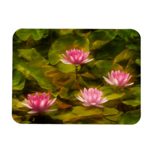 Artistic water lilies, California Magnet