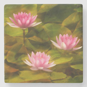 Artistic water lilies, California Stone Coaster