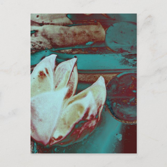 Artistic Water Lilly in Red and Blue Postcard (Front)