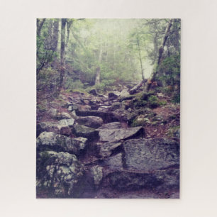 Artist's Bluff Rocky Hiking Trail in New Hampshire Jigsaw Puzzle