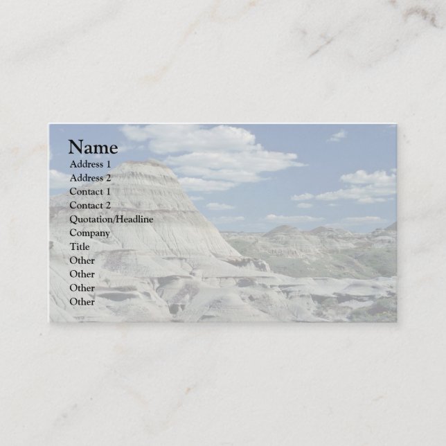 Artist'S Palette Business Card (Front)