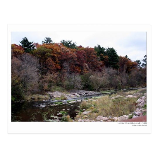 Artist's Palette Postcard