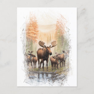 *~* Artsy AP49 MOOSE HERD Forest STREAM Postcard