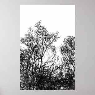 Artsy Black and White Tree Modern Poster
