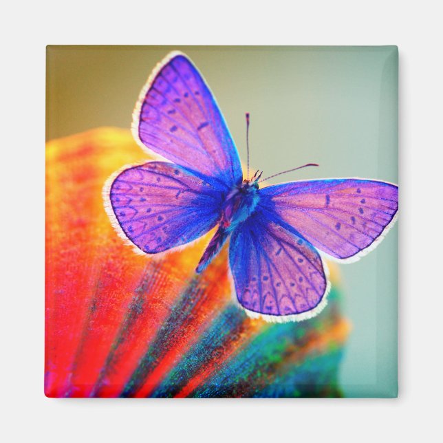 Artsy Butterfly Magnet (Front)