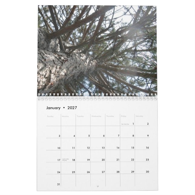 artsy calendar (Jan 2027)