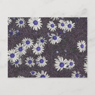 Artsy Daisies Postcard