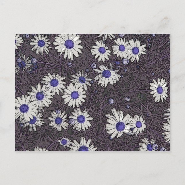 Artsy Daisies Postcard (Front)