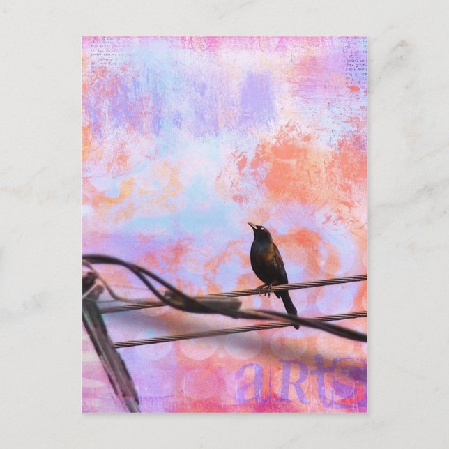 Artsy Grackle Postcard (Front)