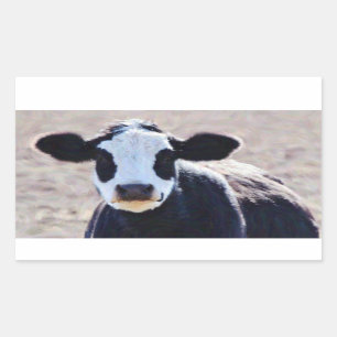 Artsy Panda Face Cow Sticker