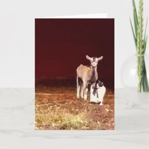 Artsy Photo of a Goat and His Cat Greeting Card