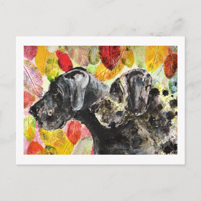 ARtwork Great Dane dogs Postcard (Front)