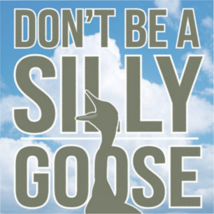  Artwork Illustration Don't Be A Silly Goose