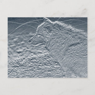 artwork wolf postcard