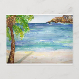 Aruba Beach with Palm Tree Postcard