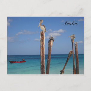 Aruba, Blue Skies in Paradise Postcard