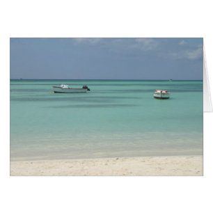 Aruba Boats