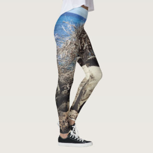 Aruba Divi Divi Tree And Ocean Leggings