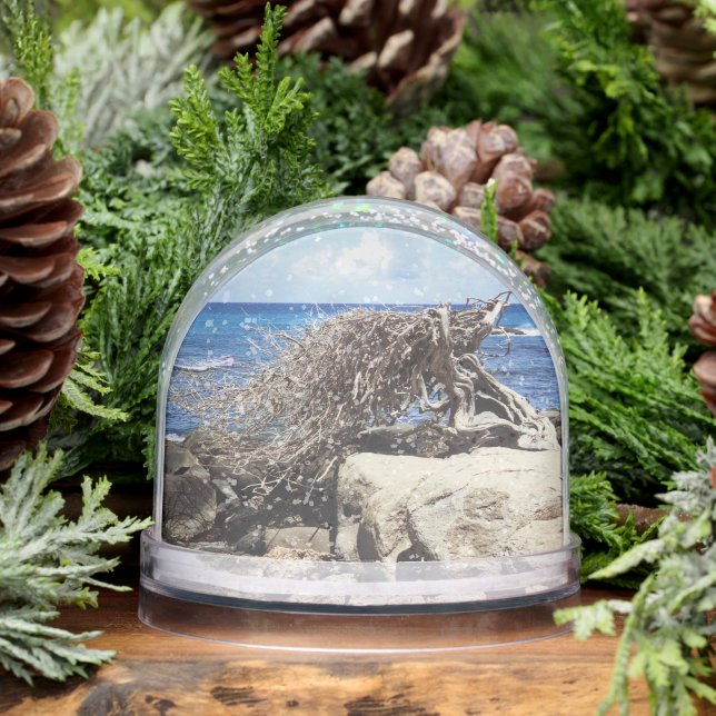 Aruba Divi Divi Tree And Ocean Snowglobe (Winter)