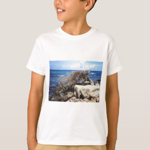 Aruba Divi Divi Tree At The Ocean T-Shirt