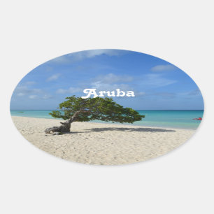 Aruba Divi Divi Tree Oval Sticker