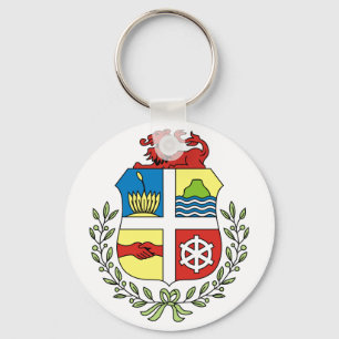 aruba emblem key ring