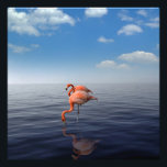 Aruba Flamingo  Beach Photo Print<br><div class="desc">Aruba Flamingo Beach Photography</div>