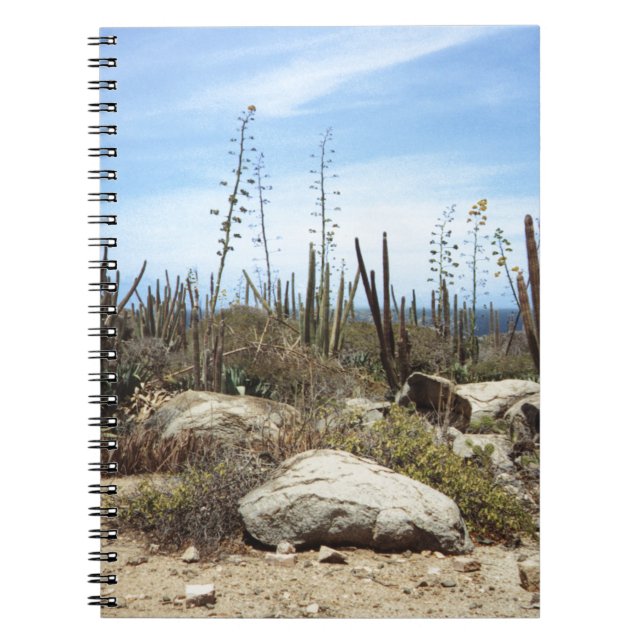 Aruba Landscape With Cactus Notebook (Front)