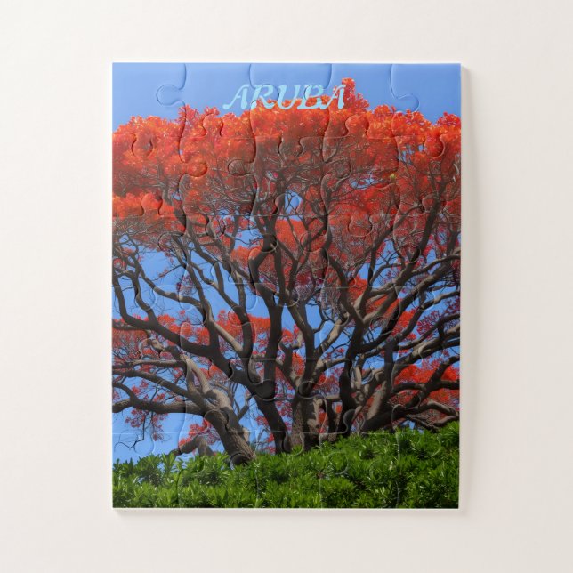 Aruba poinciana tree jigsaw puzzle (Vertical)