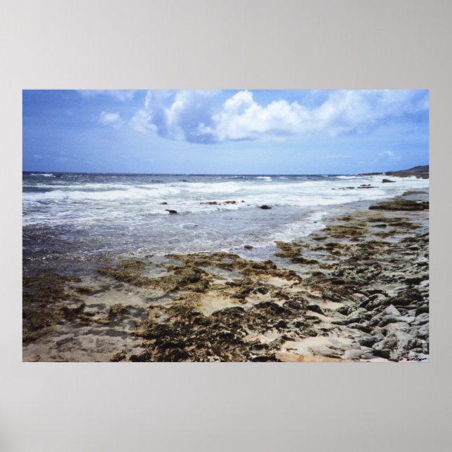 Aruba Rocky Ocean Poster (Front)