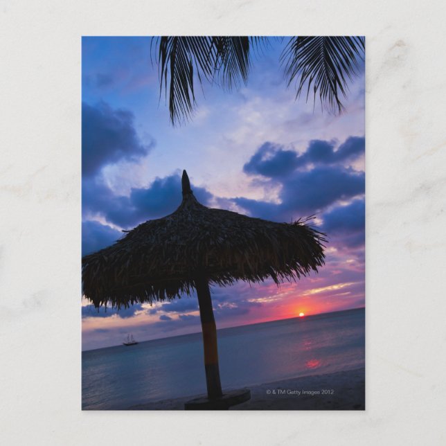 Aruba, silhouette of palapa on beach at sunset 2 postcard (Front)