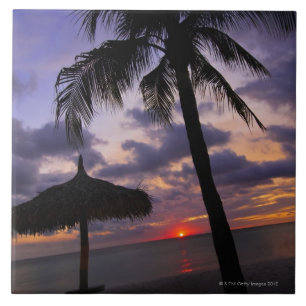 Aruba, silhouette of palm tree and palapa on ceramic tile