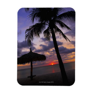 Aruba, silhouette of palm tree and palapa on magnet