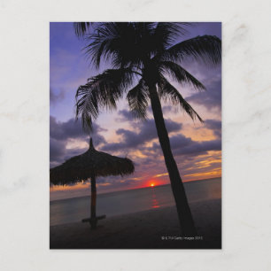 Aruba, silhouette of palm tree and palapa on postcard