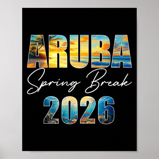 Aruba Spring Break 2026 Summer Vacation Beach  Poster (Front)