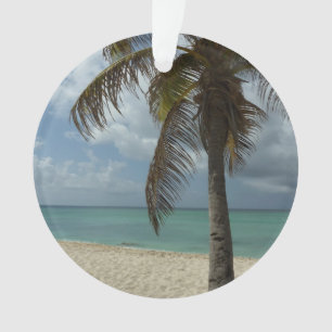 Aruban Beach I Beautiful Nature Scene Ornament