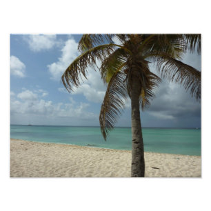 Aruban Beach I Beautiful Nature Scene Photo Print
