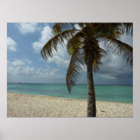 Aruban Beach I Beautiful Nature Scene