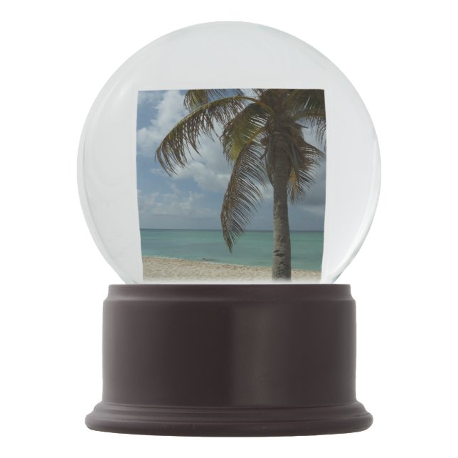 Aruban Beach I Beautiful Nature Scene Snow Globe (Front)