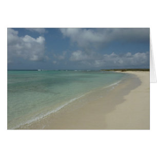 Aruban Beach II Beautiful Nature Scene