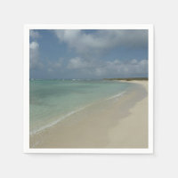 Aruban Beach II Beautiful Nature Scene