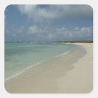 Aruban Beach II Beautiful Nature Scene