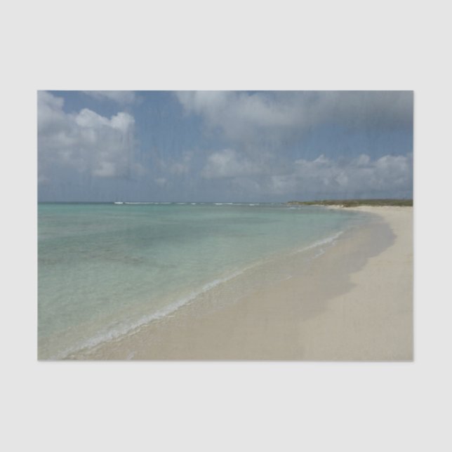 Aruban Beach II Beautiful Nature Scene Tissue Paper (Front)