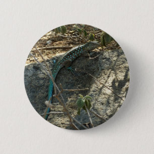 Aruban Whiptail Lizard Tropical Animal Photography 6 Cm Round Badge