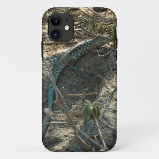 Aruban Whiptail Lizard Tropical Animal Photography Case-Mate iPhone Case (Back)