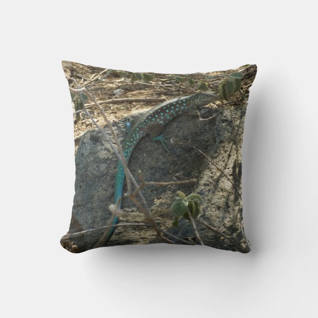 Aruban Whiptail Lizard Tropical Animal Photography Cushion (Front)