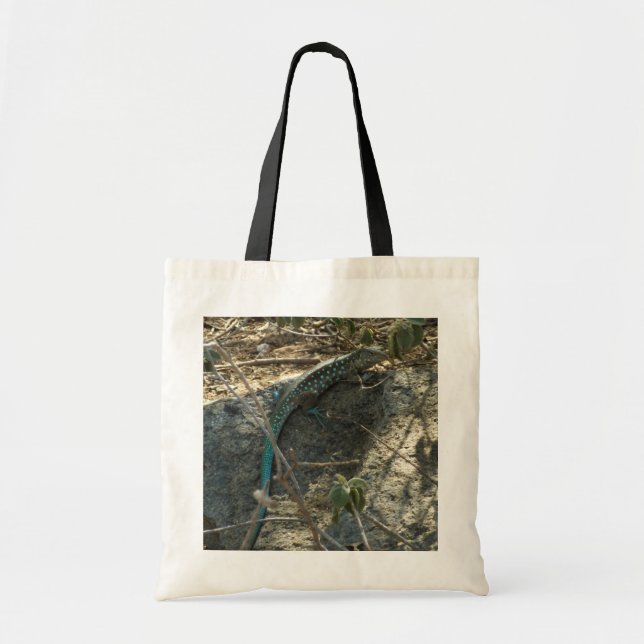 Aruban Whiptail Lizard Tropical Animal Photography Tote Bag (Front)
