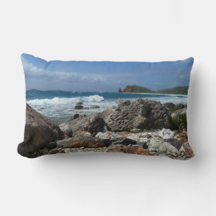 Aruba's Rocky Coast and Blue Ocean Lumbar Cushion