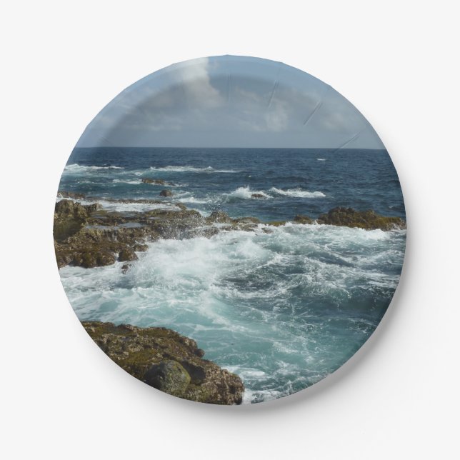 Aruba's Rocky Coast and Blue Ocean Paper Plate (Front)